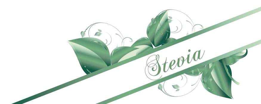 Stevia