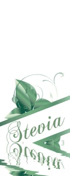 Stevia
