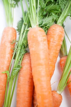 Group of freshly picked carrots with stems