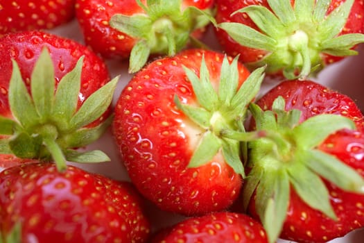 Fresh Strawberries