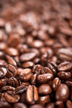 Fresh coffee beans before being ground