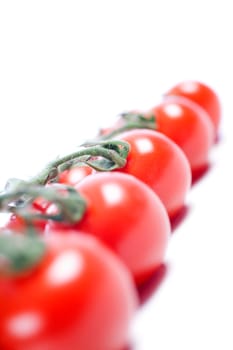 Fresh ripe tomatoes on the vine isolated on white background