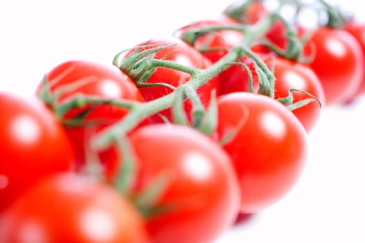 Fresh ripe tomatoes on the vine isolated on white background