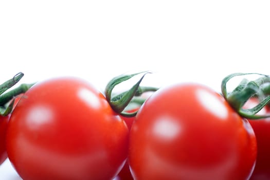 Fresh ripe tomatoes on the vine isolated on white background
