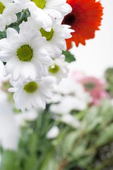 Flower cuttings being prepared to be arranged to make a bouquet.
