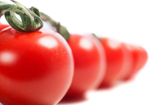 Fresh ripe tomatoes on the vine isolated on white background