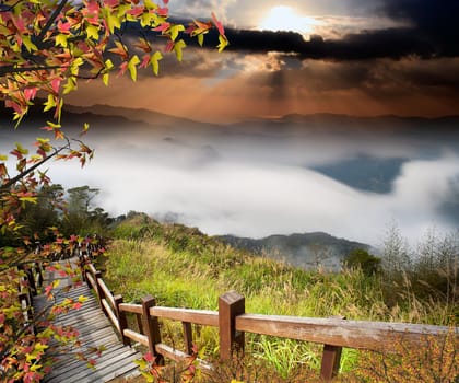 Alishan, gap the top Sunset mexed with nice maple, Taiwan