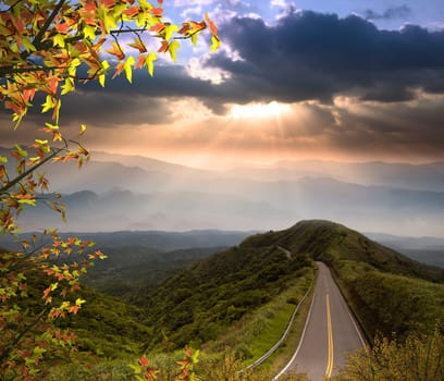 Road to a nice place with colorful maple