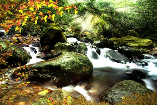 River and stone with nice maple for adv or others purpose use