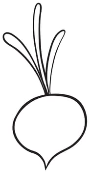 Illustraiton of a simple vegetable illustration on white