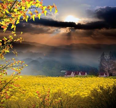 Amazing sunrise and mountain with nice maple