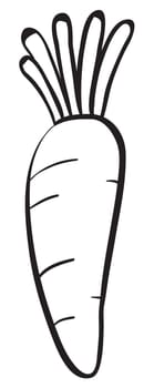 Illustraiton of a simple vegetable illustration on white