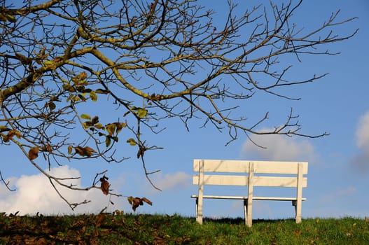 bench or (bank building without river without house without skyline)
