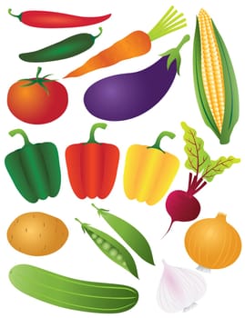 Vegetables Tomato Bell Peppers Chili Carrot Eggplant Potato Peapod Peas Onion Garlic Beet Corn Illustration