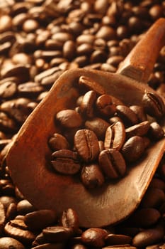 Background of fresh rich brown roasted coffee beans on a wooden scoop , a valuable commodity and agricultural crop, with copyspace