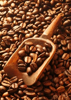 Backlground texture of rich brown fresh roasted coffee beans with a rustic wooden scoop and copyspace