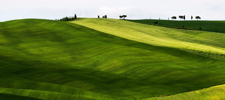 Beautiful green landscape in Tuscany - Italy