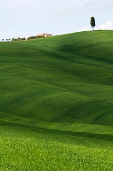 Beautiful green landscape in Tuscany - Italy