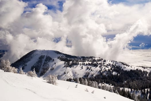 beautiful winter landscape on a sunny day