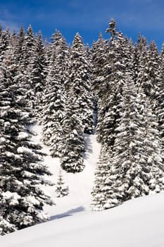beautiful winter landscape on a sunny day