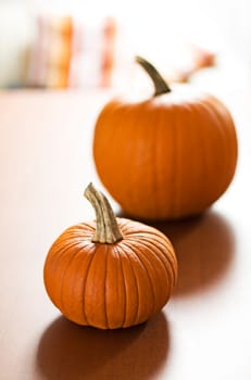 Two orange pumpkins on the table close up