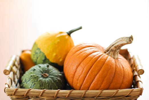 Pumpkins in basket isolated close up shoot