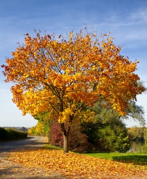 Colourful autumn time