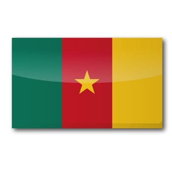 Flag Cameroon
