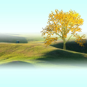 Beautiful Golf Course for adv or others purpose use