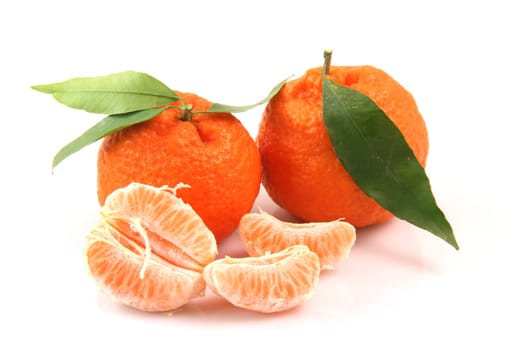 closeup mandarin row with copy space isolated on white background fruits and agriculture concepts
