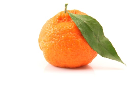 closeup mandarin row with copy space isolated on white background fruits and agriculture concepts