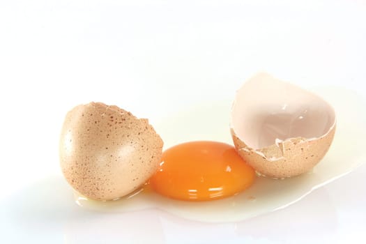egg with spots isolated on white background food concepts