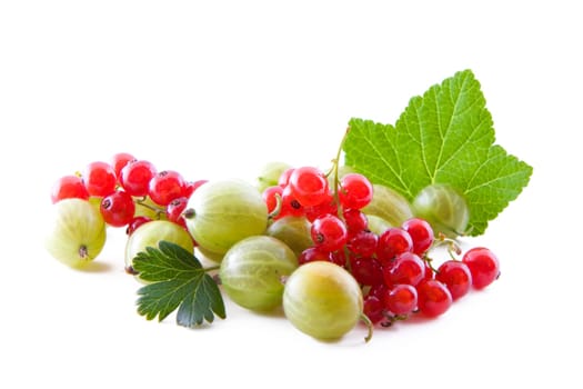 Red currants and green gooseberry isolated on white, fresh fruits