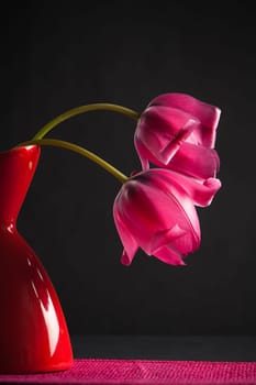 pink tulips in a vase on a black background