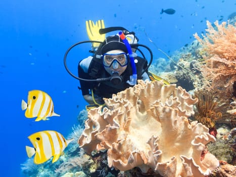 Scuba diver underwater close to coral reef