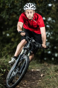 Cyclists on a mountain bike