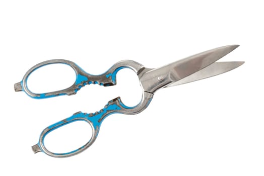 Kitchen scissors against white background