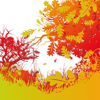 Blades of grass,wild boar and oak forest