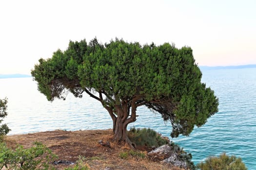 beysehir lake