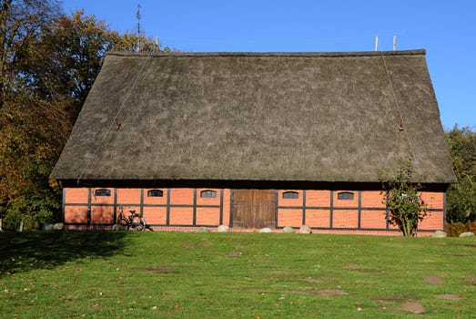 Thatched roof house