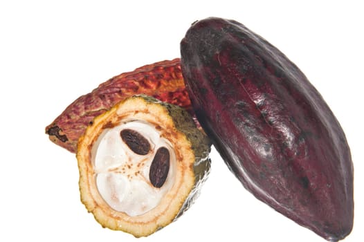 fruit of the cocoa tree on white background