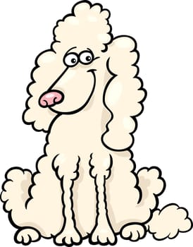 Cartoon Illustration of Funny Purebred White Poodle