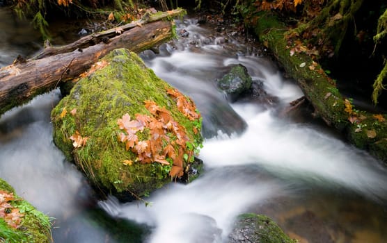 Water flows throughthe rocks during the fall in Munson Creek Oregon