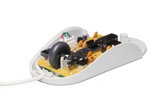A computer mouse with the top removed.