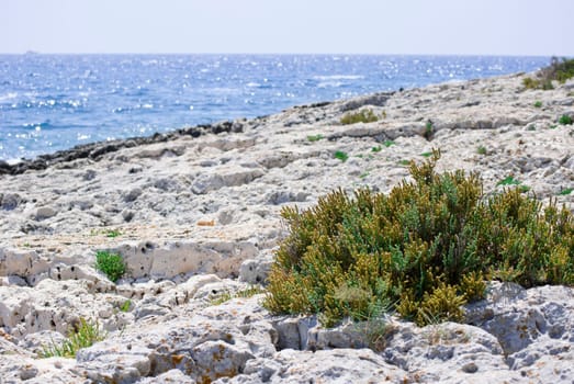 croatian stony beach