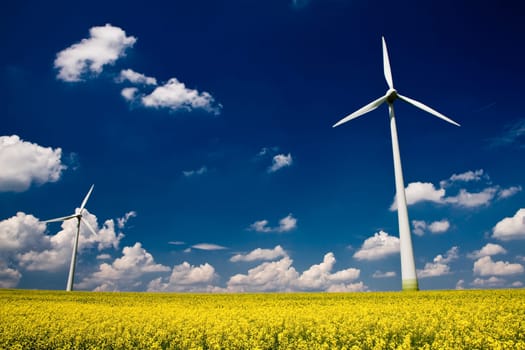 Windmills in the field of yellow rape, spring season