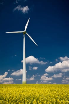 Windmill in the field of yellow rape, blue sky