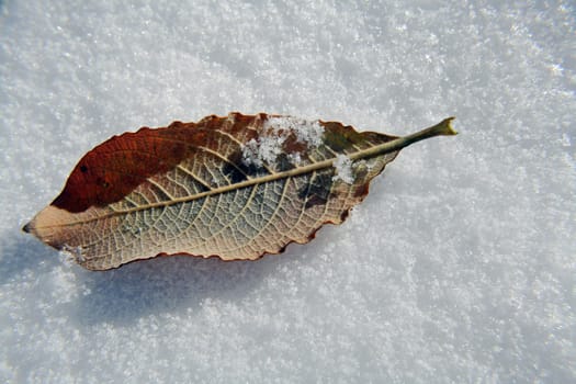 When winter begins in autumn...