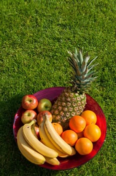 fruit bowl with apples, bananas, oranges and pineapple on the grass field
