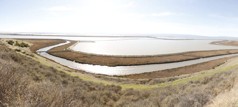 Don Edwards National Wildlife refuge